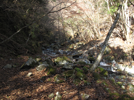 20161206hike (81)